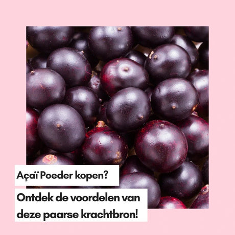 Açaï Poeder kopen? Ontdek de voordelen van deze paarse krachtbron! - Kruidenland