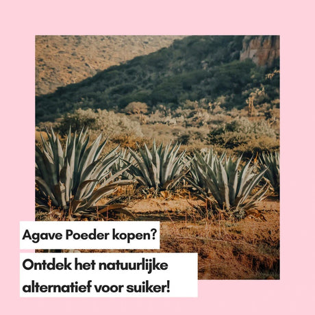 Agave Poeder kopen? Ontdek het natuurlijke alternatief voor suiker! - Kruidenland