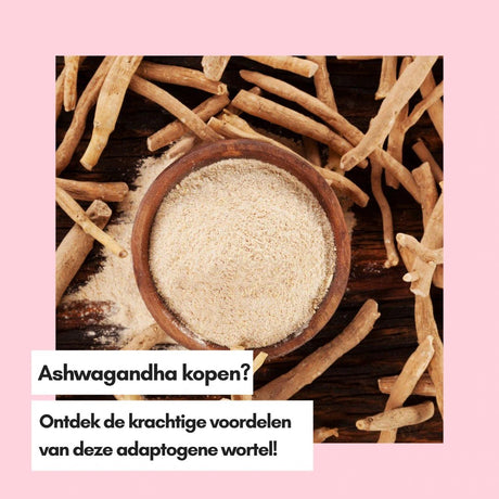 Ashwagandha kopen? Ontdek de krachtige voordelen van deze adaptogene wortel! - Kruidenland