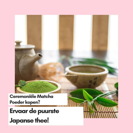 Ceremoniële Matcha Poeder kopen? Ervaar de puurste Japanse thee! - Kruidenland