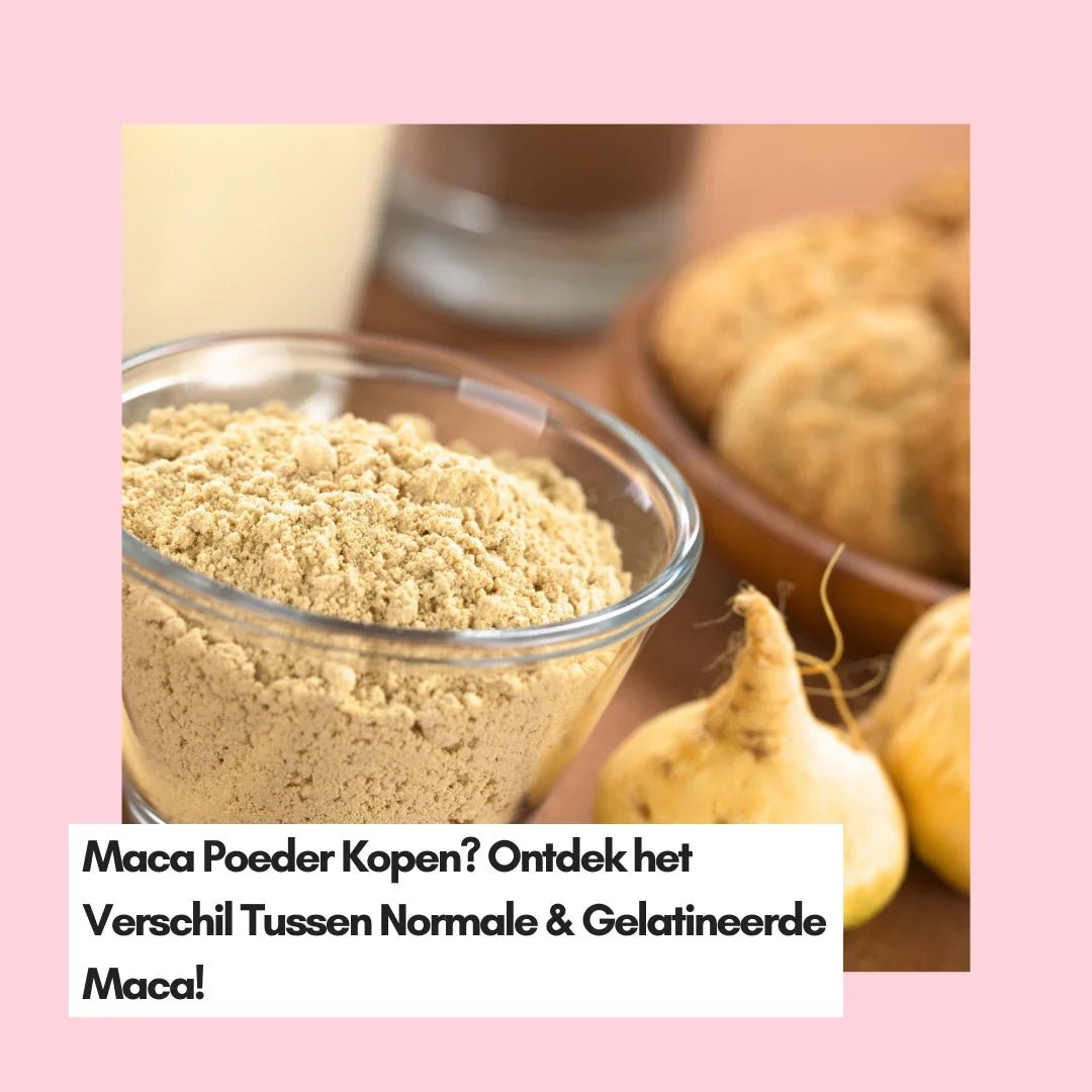 Maca Poeder Kopen? Ontdek het Verschil Tussen Normale & Gelatineerde Maca! - Kruidenland